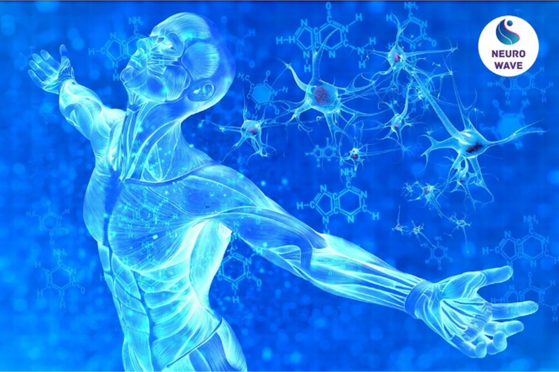 [Neuro-Wave] Регенерация. Программирование тела на бессмертие, фото 1 из 1.