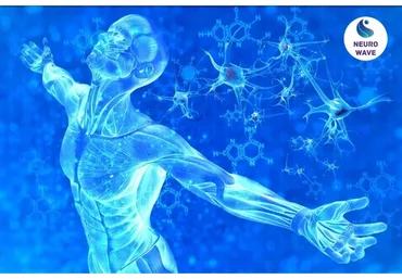 [Neuro-Wave] Регенерация. Программирование тела на бессмертие