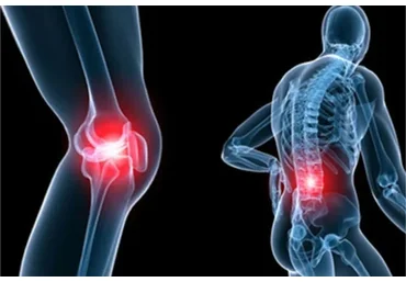 [Центр Шерома] Всё о здоровых суставах и здоровом связочном аппарате (Ульвия Голденбрук)