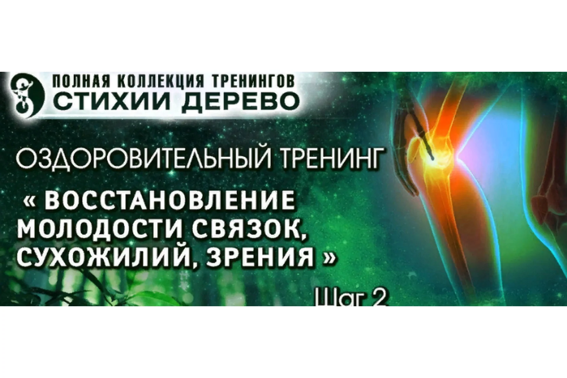 Восстановление молодости связок, сухожилий, зрения 2021  (Владимир Осипов), фото 1 из 1.