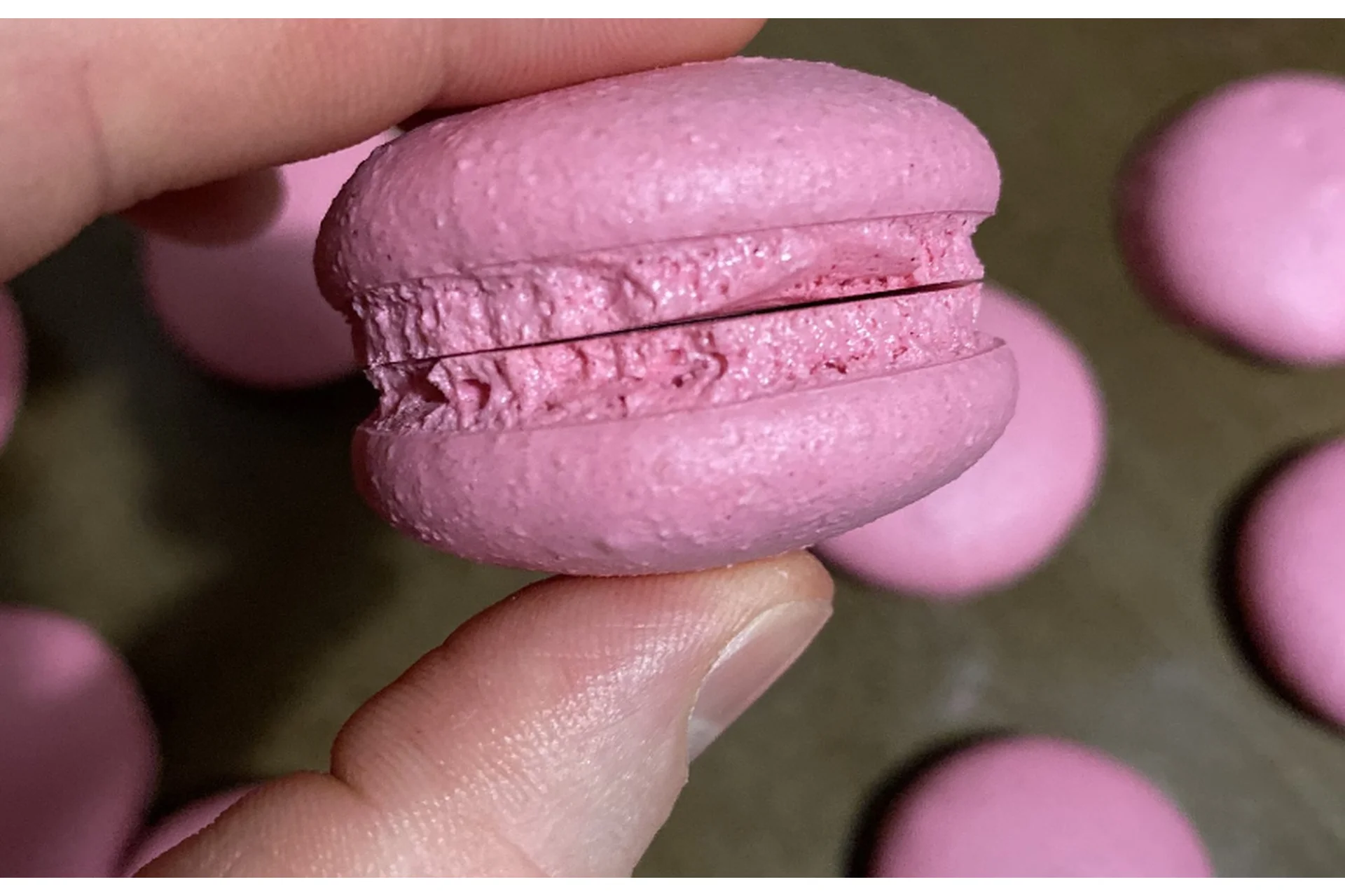 Веганские макарон. Крышки+ганаши (Ильназ Искаков), фото 1 из 1.