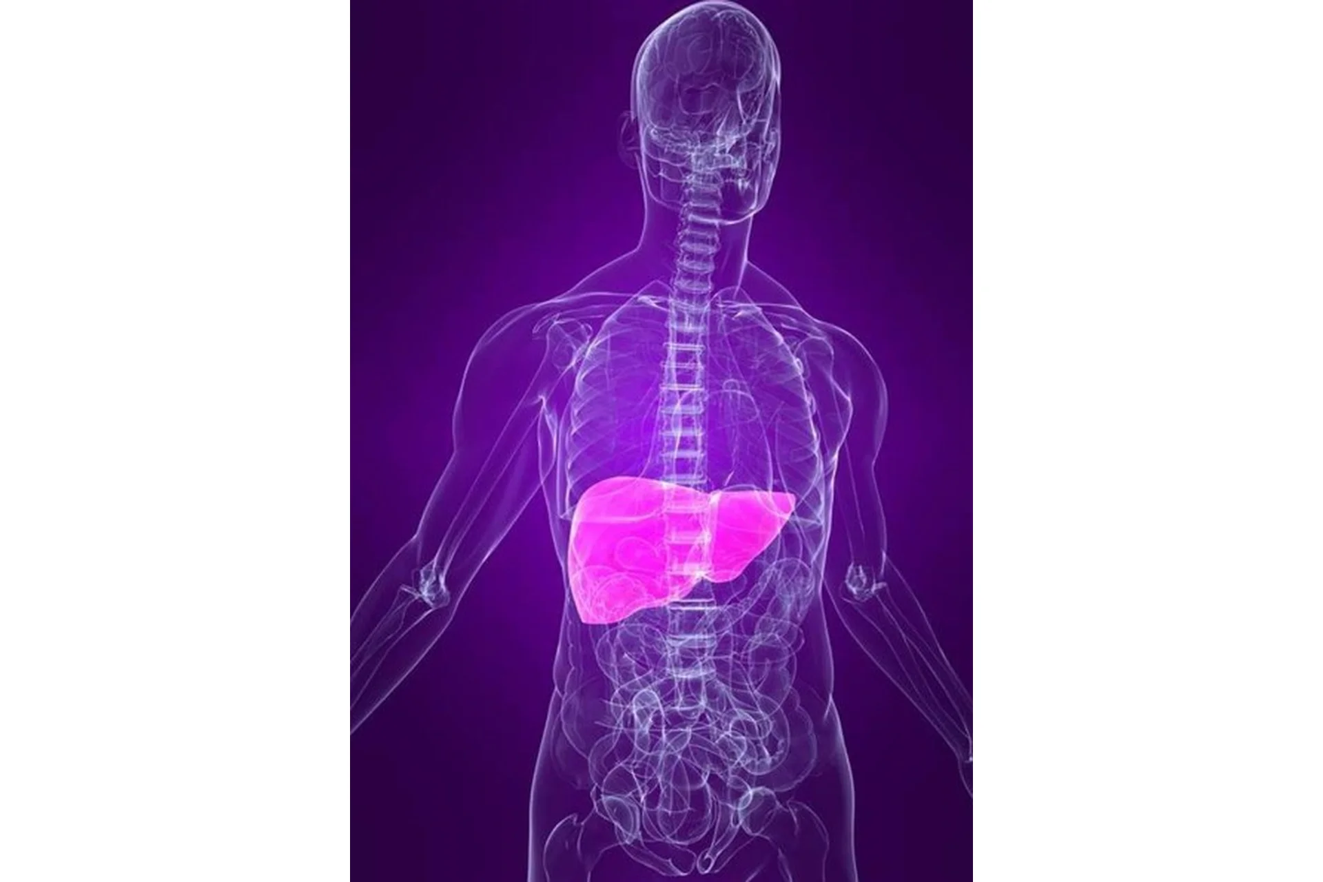 [Первая Школа Биохакинга] Моя прекрасная печень + Синдром Жильбера (Ирина Баранова), фото 1 из 1.