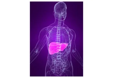 [Первая Школа Биохакинга] Моя прекрасная печень + Синдром Жильбера (Ирина Баранова)