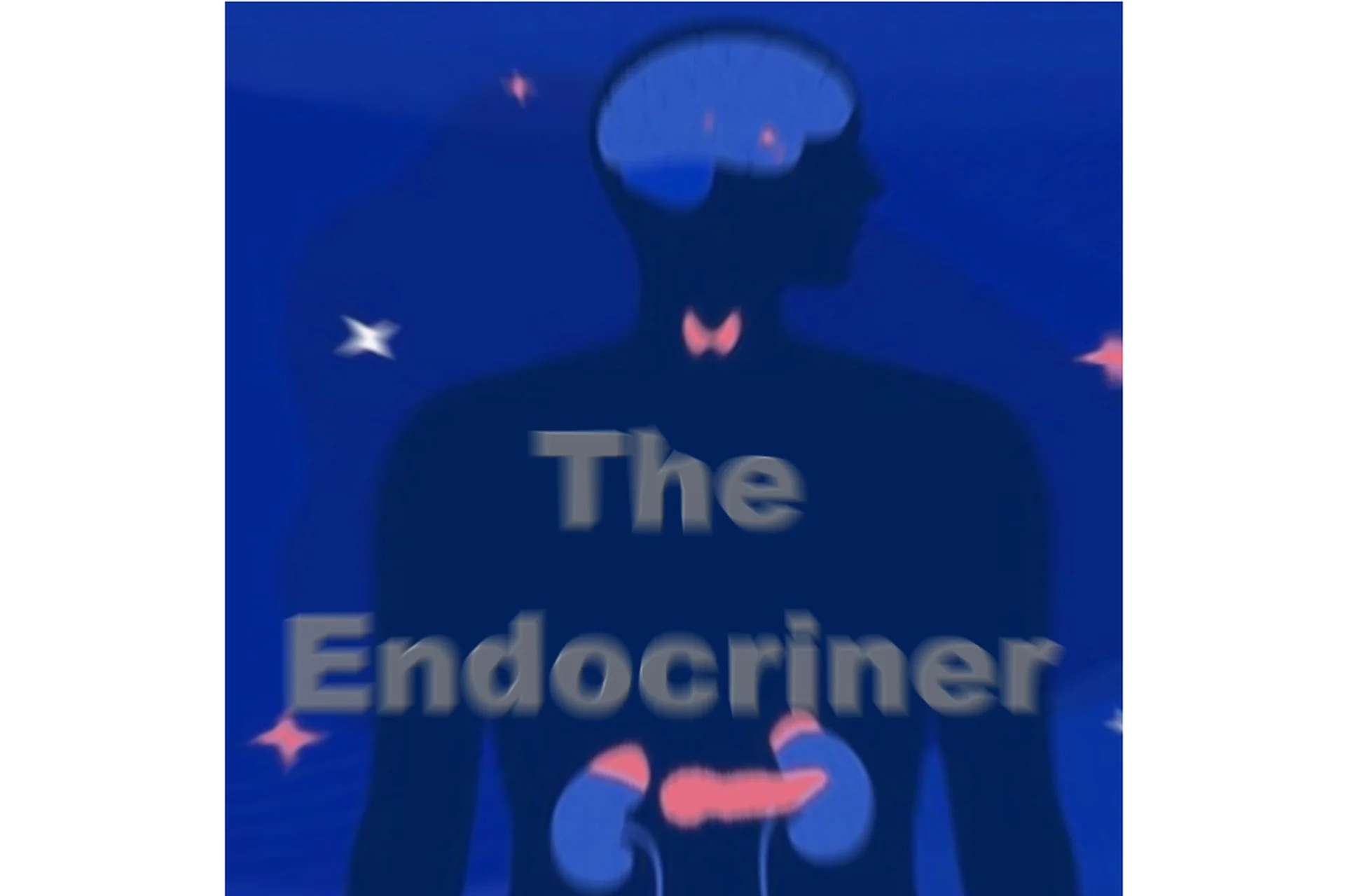 [Sapien Medicine] The Endocriner | Эндокринный, фото 1 из 1.