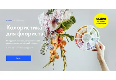 [Lacy Bird Academy]  Колористика для флориста. Тариф-Видео-лекции (Павел Полков)