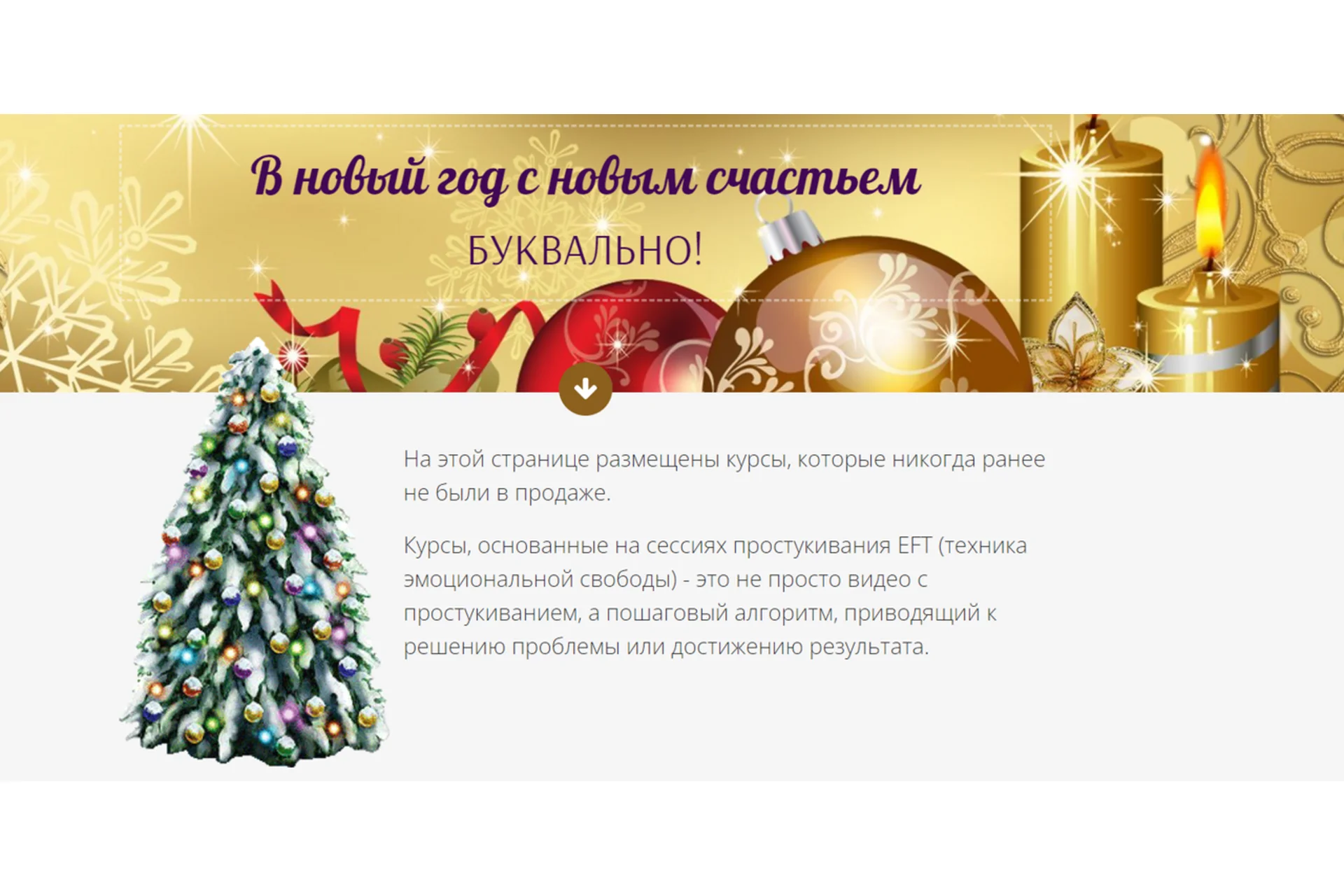 [Narcissism.xyz] Комплект из 12 курсов (Надежда Семененко), фото 1 из 1.