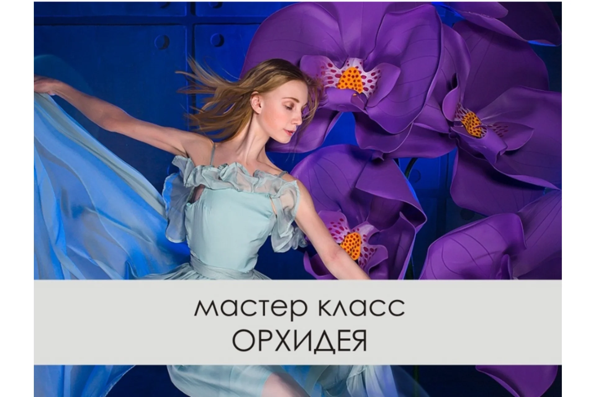 Орхидея из фоамирана ЭВА (Светлана Копцева), фото 1 из 1.