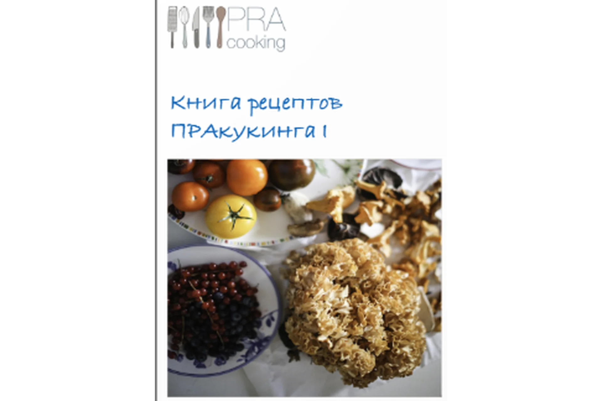[Pracooking] Книга рецептов ПРАкукинга: часть 1, фото 1 из 1.