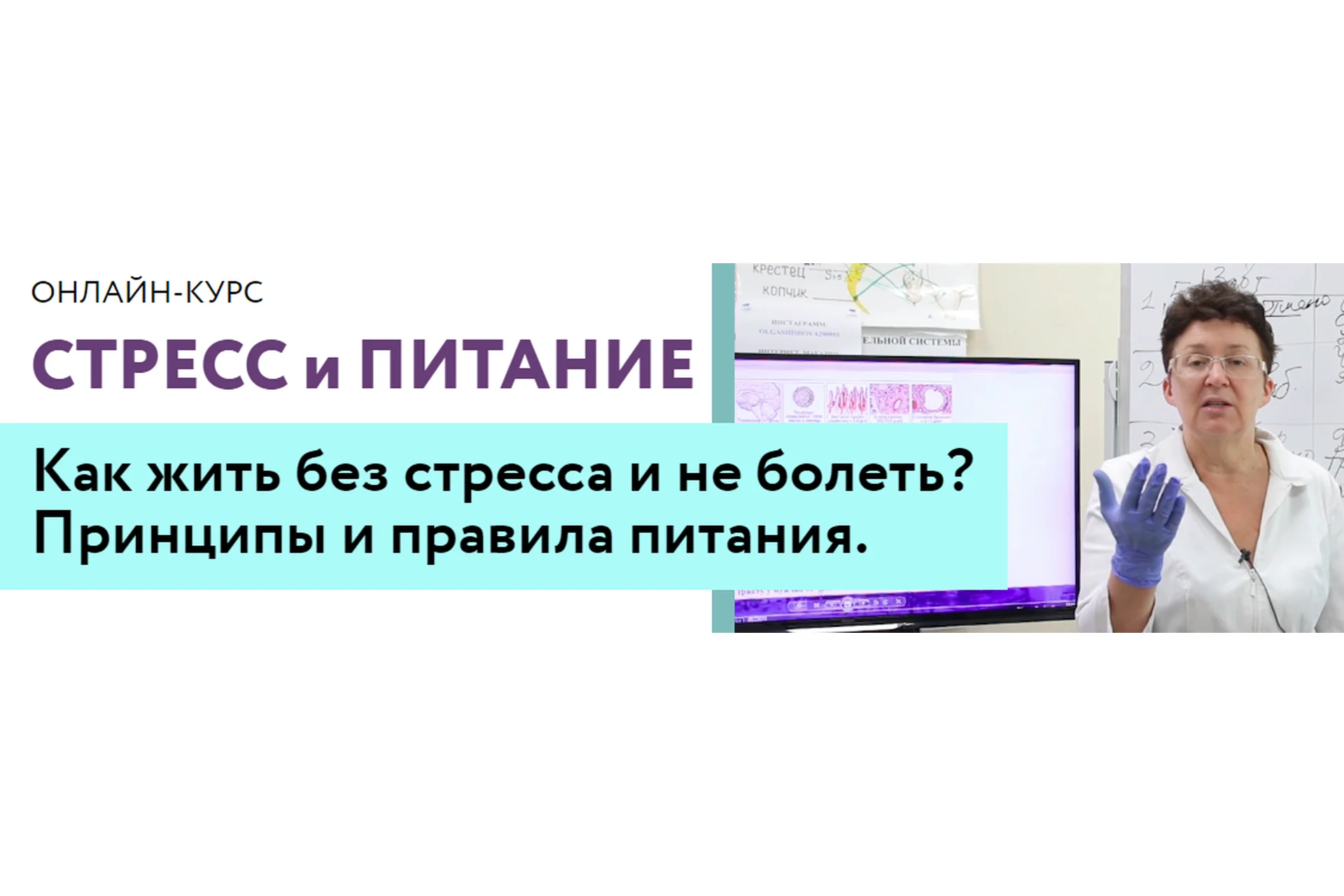 [Целиус] Стресс и питание (Ольга Шишова), фото 1 из 1.