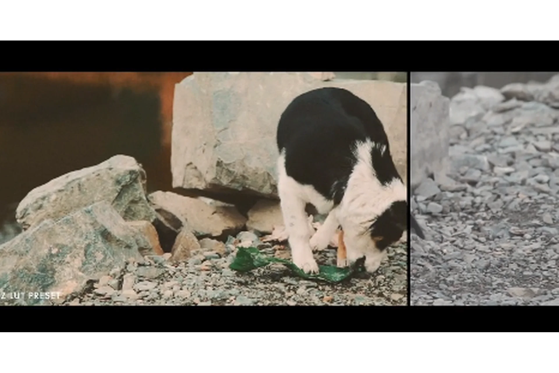 [Pixel Film Studios] Авторские Луты для Видео. FCPX Lut: Film for Final Cut Pro X, фото 1 из 1.