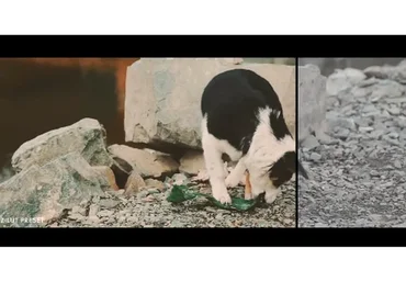 [Pixel Film Studios] Авторские Луты для Видео. FCPX Lut: Film for Final Cut Pro X