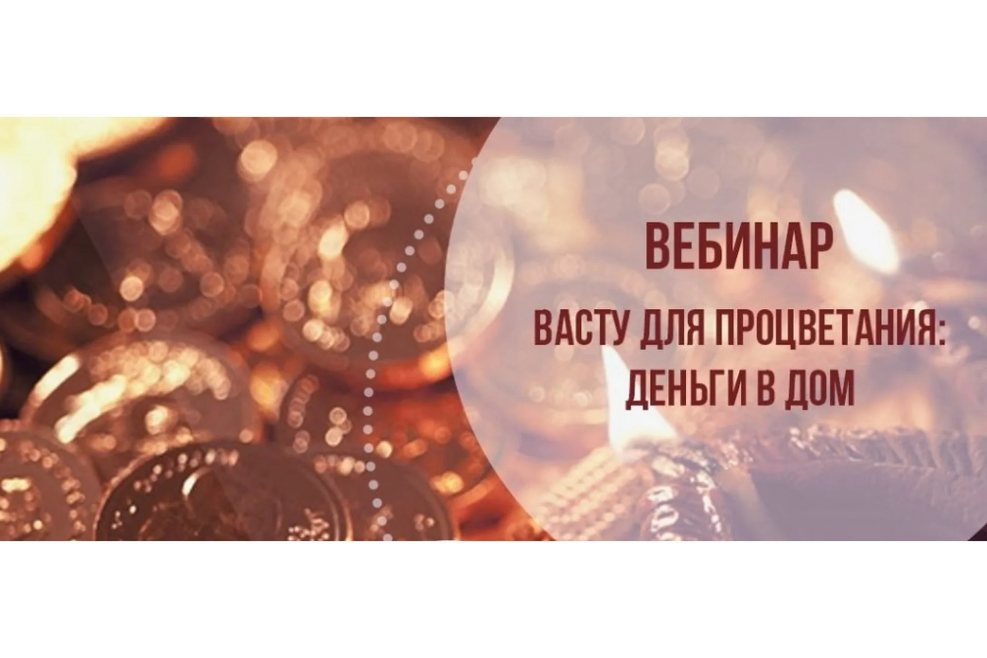 Васту для процветания: деньги в дом (Ольга Николаева), фото 1 из 1.