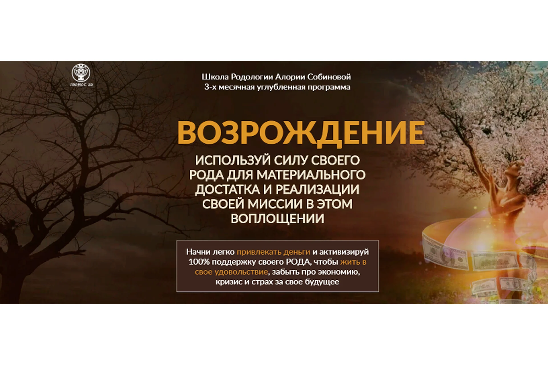 [Люмос 22] Возрождение, уровень 1. Стабильность (Алория Собинова), фото 1 из 1.