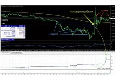 Торговый робот для разгона депозита. Советник Profit Fx
