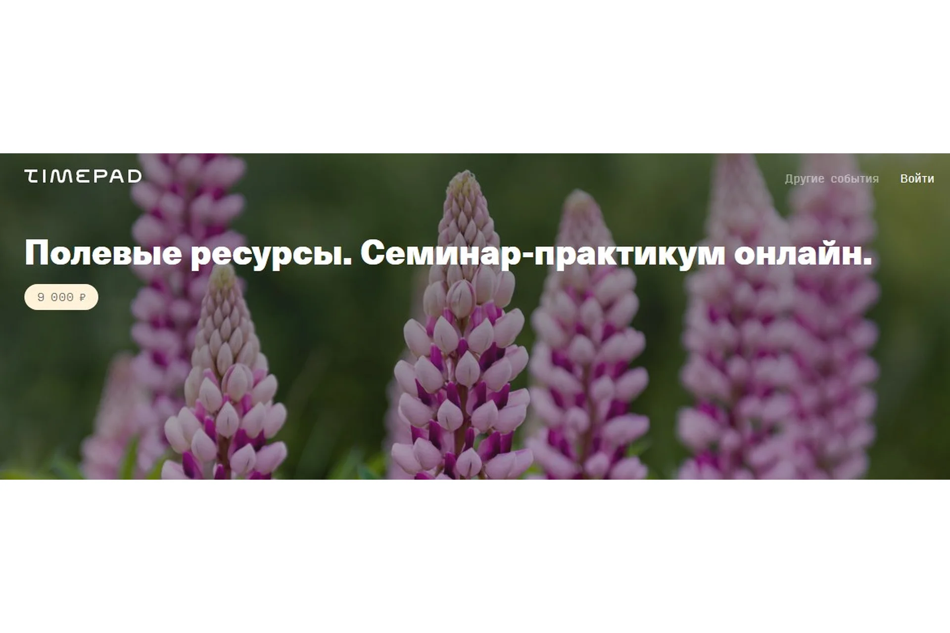 Полевые ресурсы. Семинар-практикум онлайн (Елена Веселаго), фото 1 из 1.