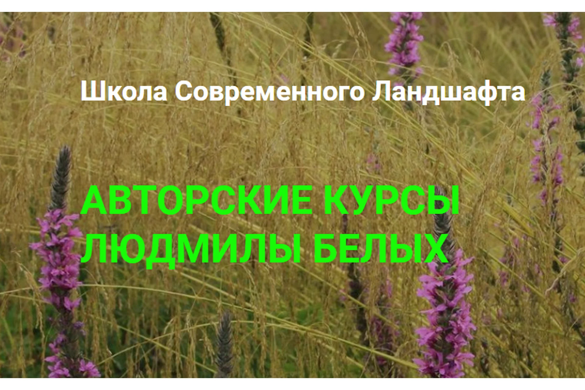 [Школа Современного Ландшафта] Сад в тени (Людмила Белых), фото 1 из 1.