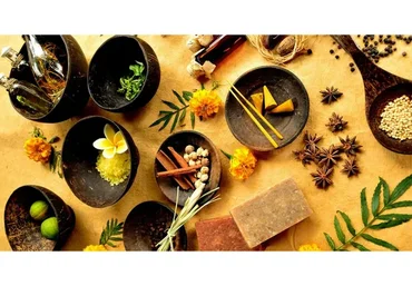 Аюрведа для жизни  (Марина Баяндина)