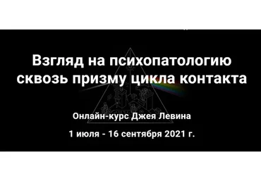 Взгляд на психопатологию сквозь призму цикла контакта. Полный курс (Джей Левин)