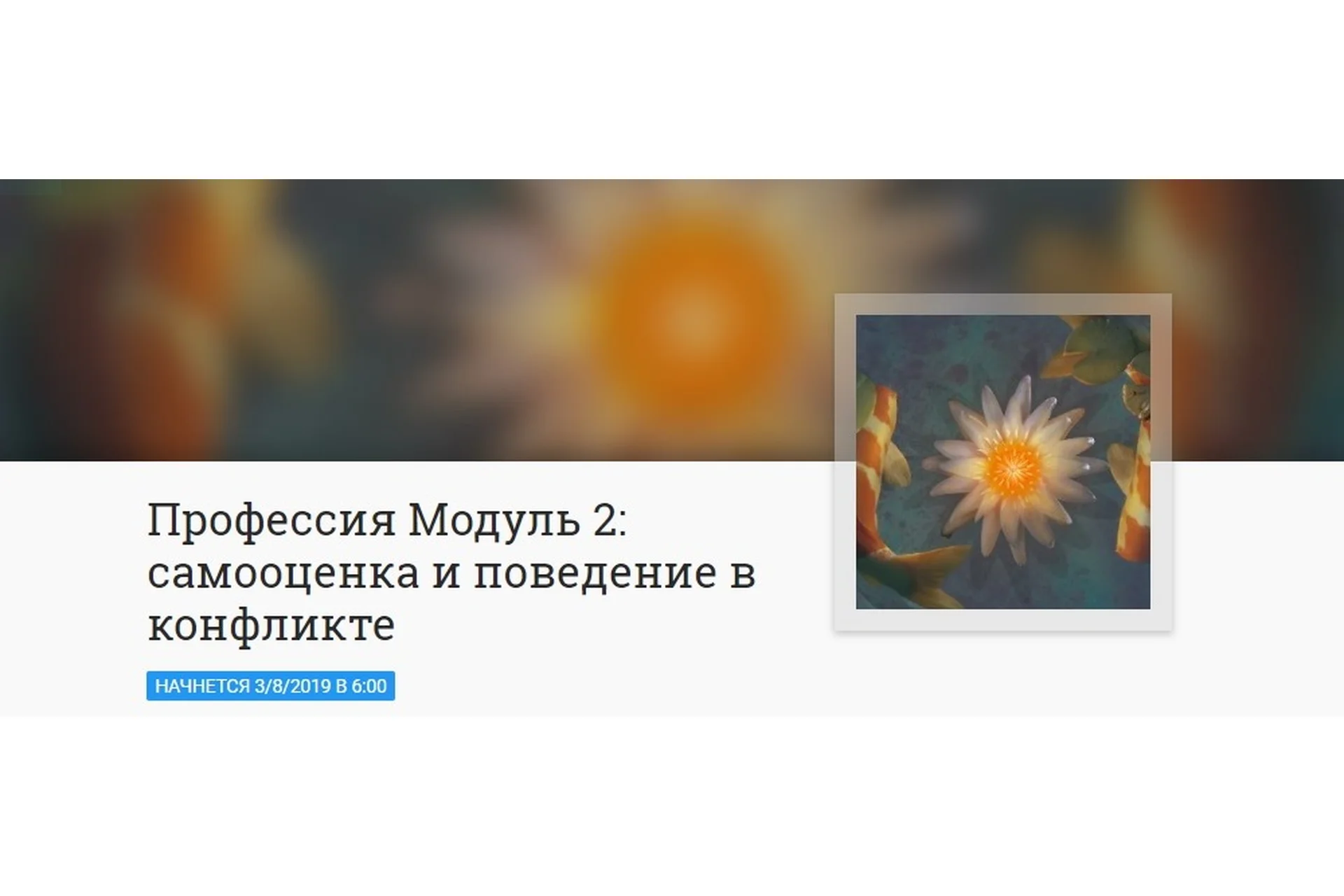 [Mitra-Varuna School] Профессия в астрологии. Модуль 2: самооценка и поведение в конфликте, фото 1 из 1.