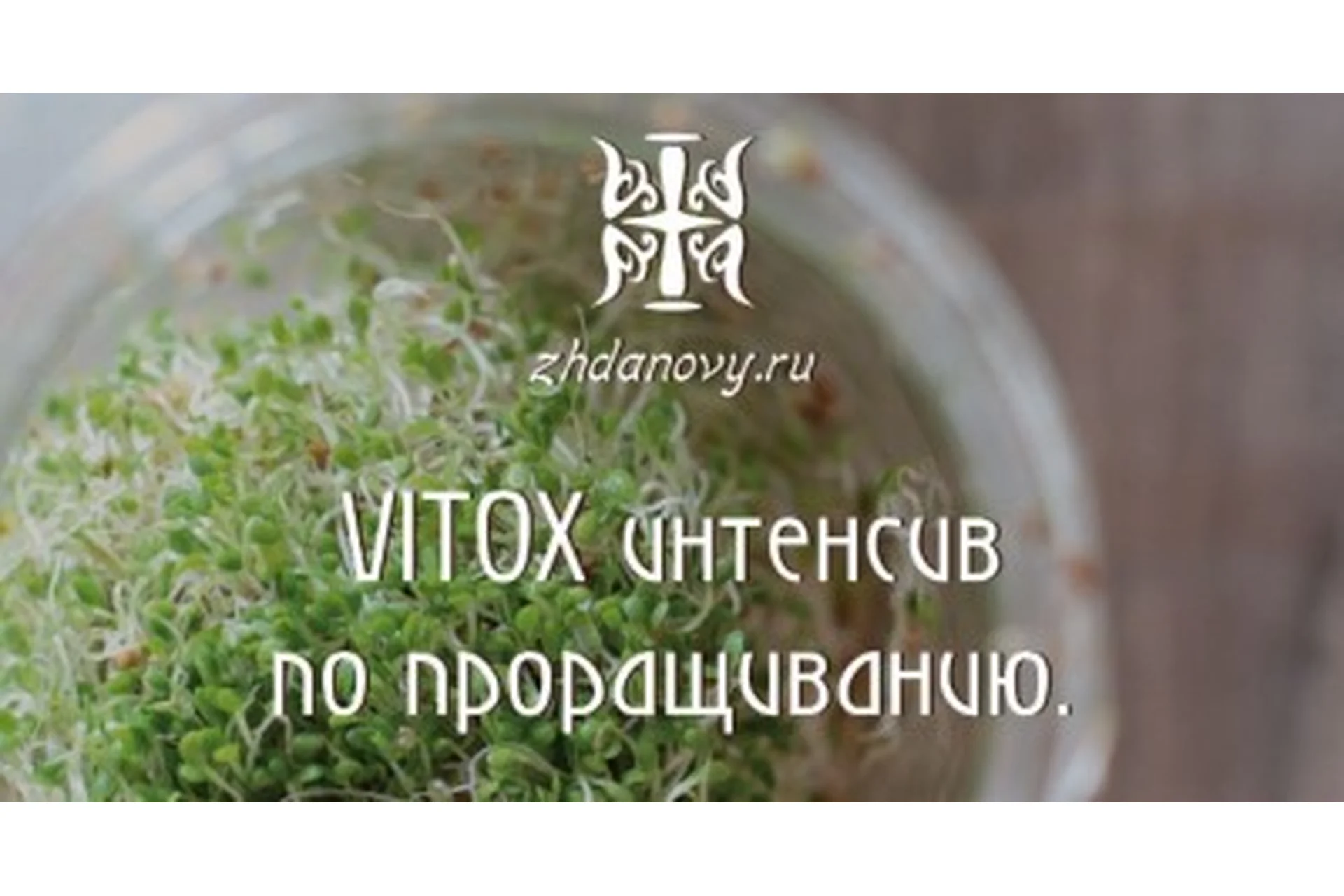 VITOX интенсив по проращиванию, 2017 (Гаврила и Татьяна Ждановы), фото 1 из 1.