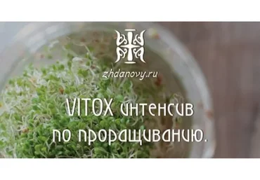 VITOX интенсив по проращиванию, 2017 (Гаврила и Татьяна Ждановы)