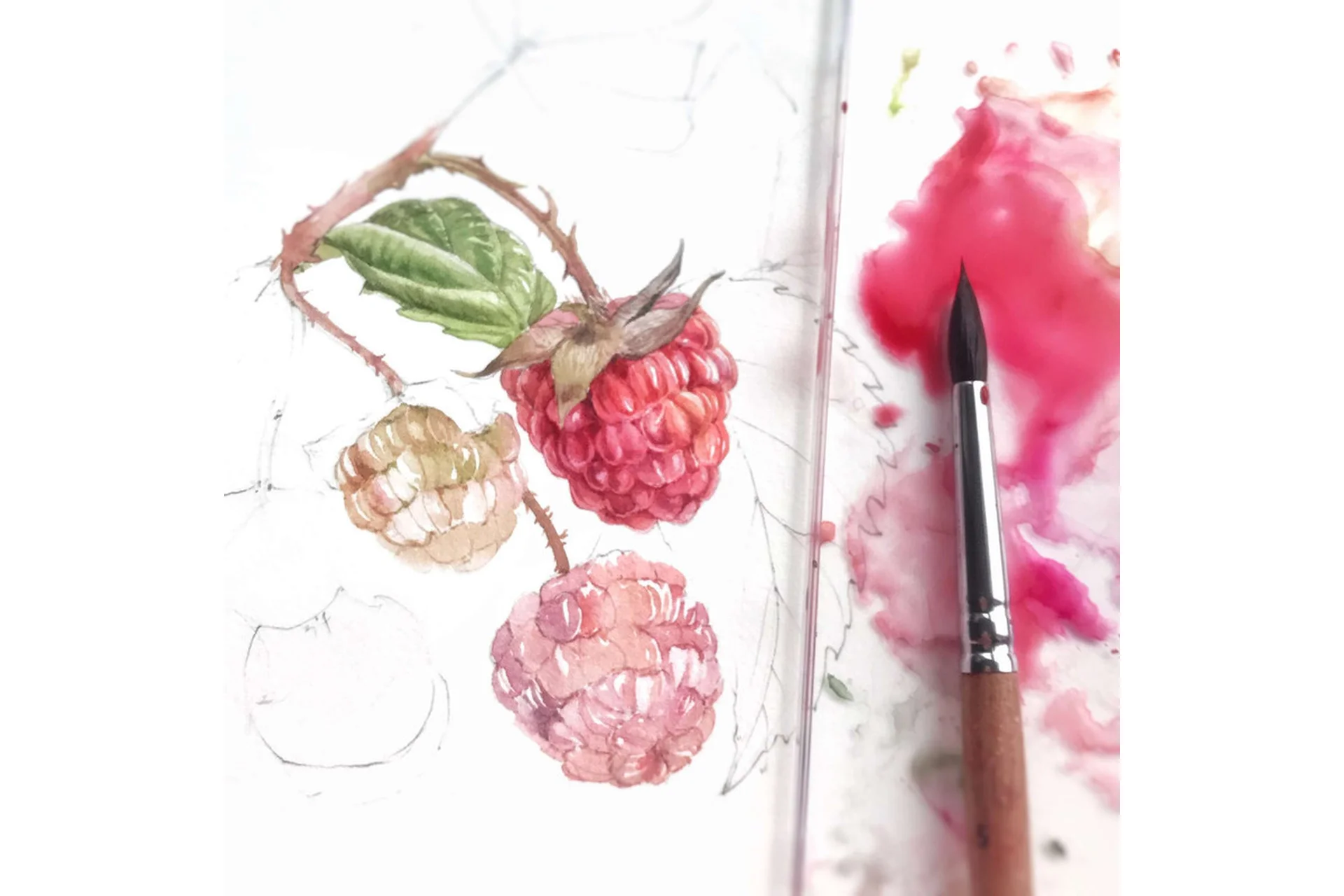 Акварельные ягоды (Анастасия Колбина), фото 1 из 1.