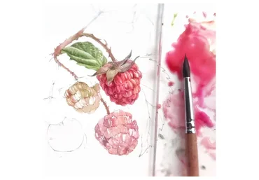 Акварельные ягоды (Анастасия Колбина)