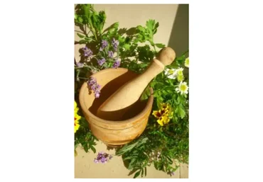 Коррекция аллергии эфирными маслами, 2015 (Елена Леднева)