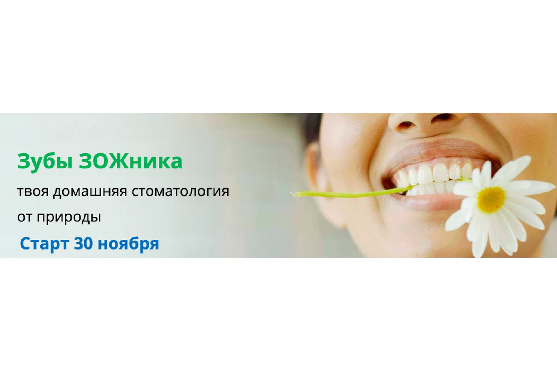 Зубы ЗОЖника. Тариф Базовый (Наташа Сведовая, Светлана Полынчук), фото 1 из 1.