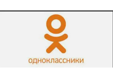 Миллионер в Одноклассниках (Юлия Литвина)