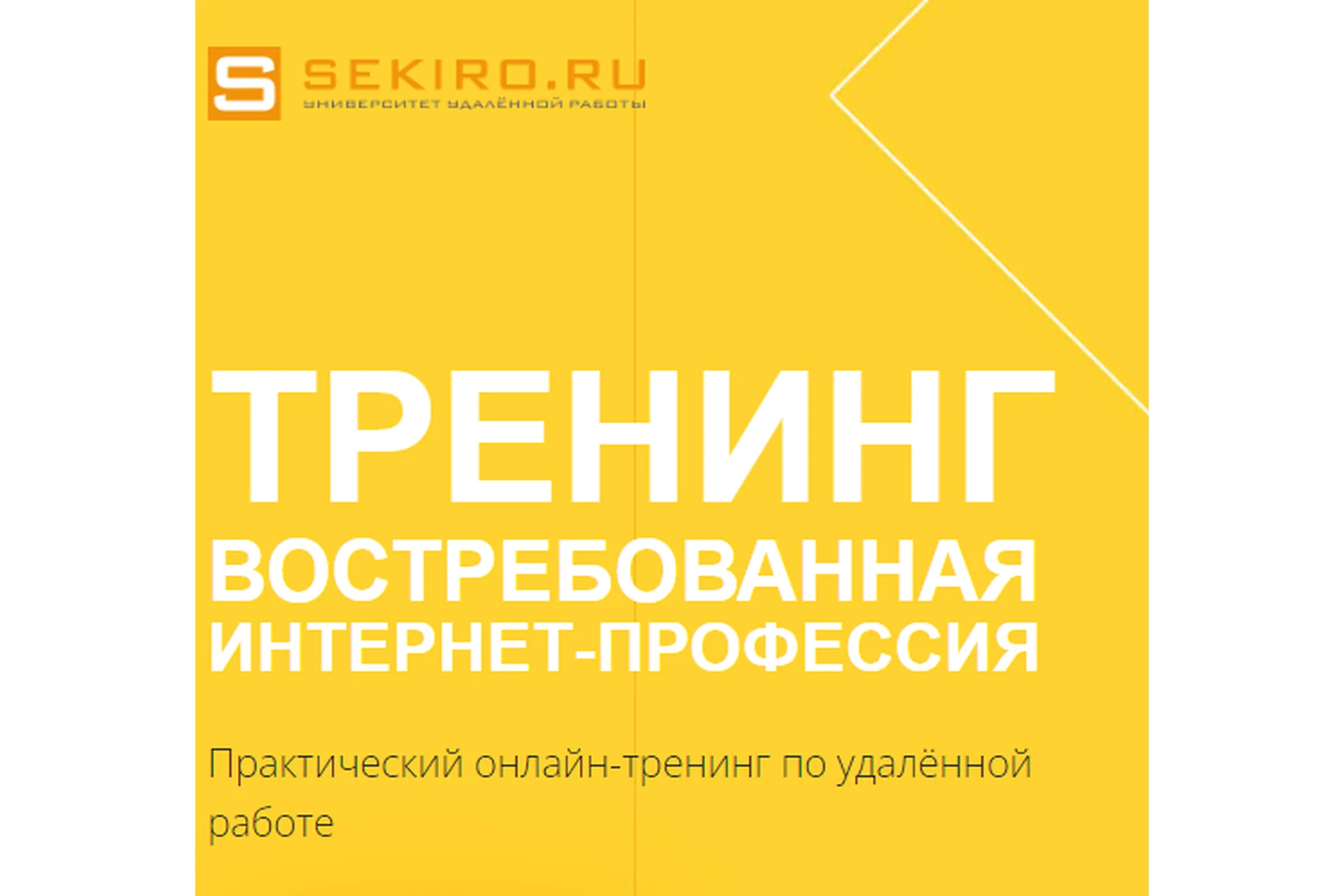 Востребованная интернет профессия. Пакет базовый, 26 поток (Валерий Секиро, Ксения Секиро), фото 1 из 1.