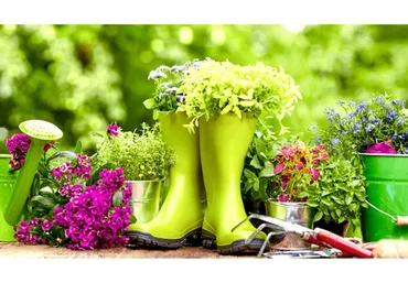 Целебный аптекарский огород на участке или балконе (Ольга Апиариус)