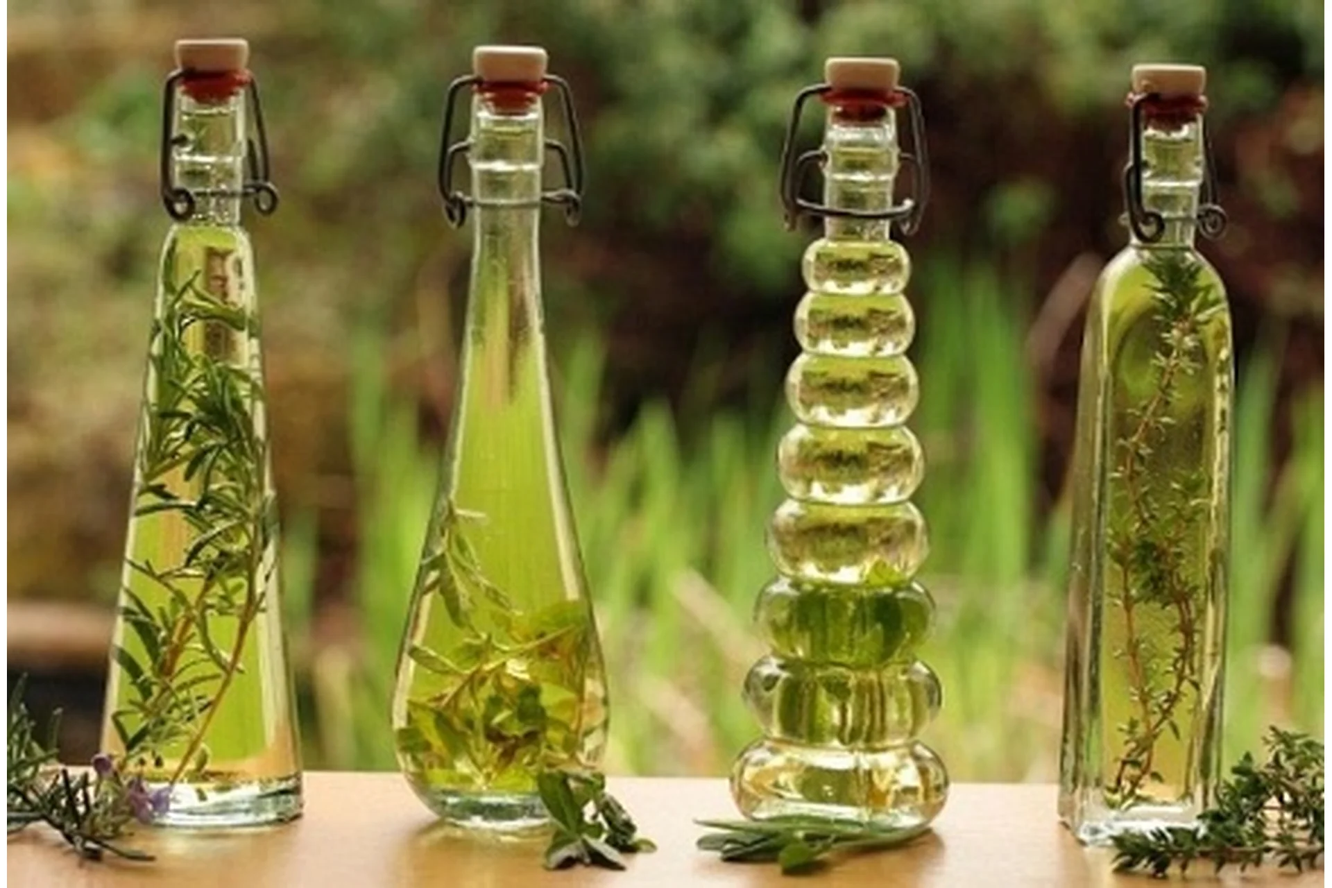 Ароматы Здоровья (Елена Леднёва), фото 1 из 1.