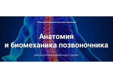 [Moscadaver] Анатомия и биомеханика позвоночника (Антон Епифанов, Михаил Касаткин)