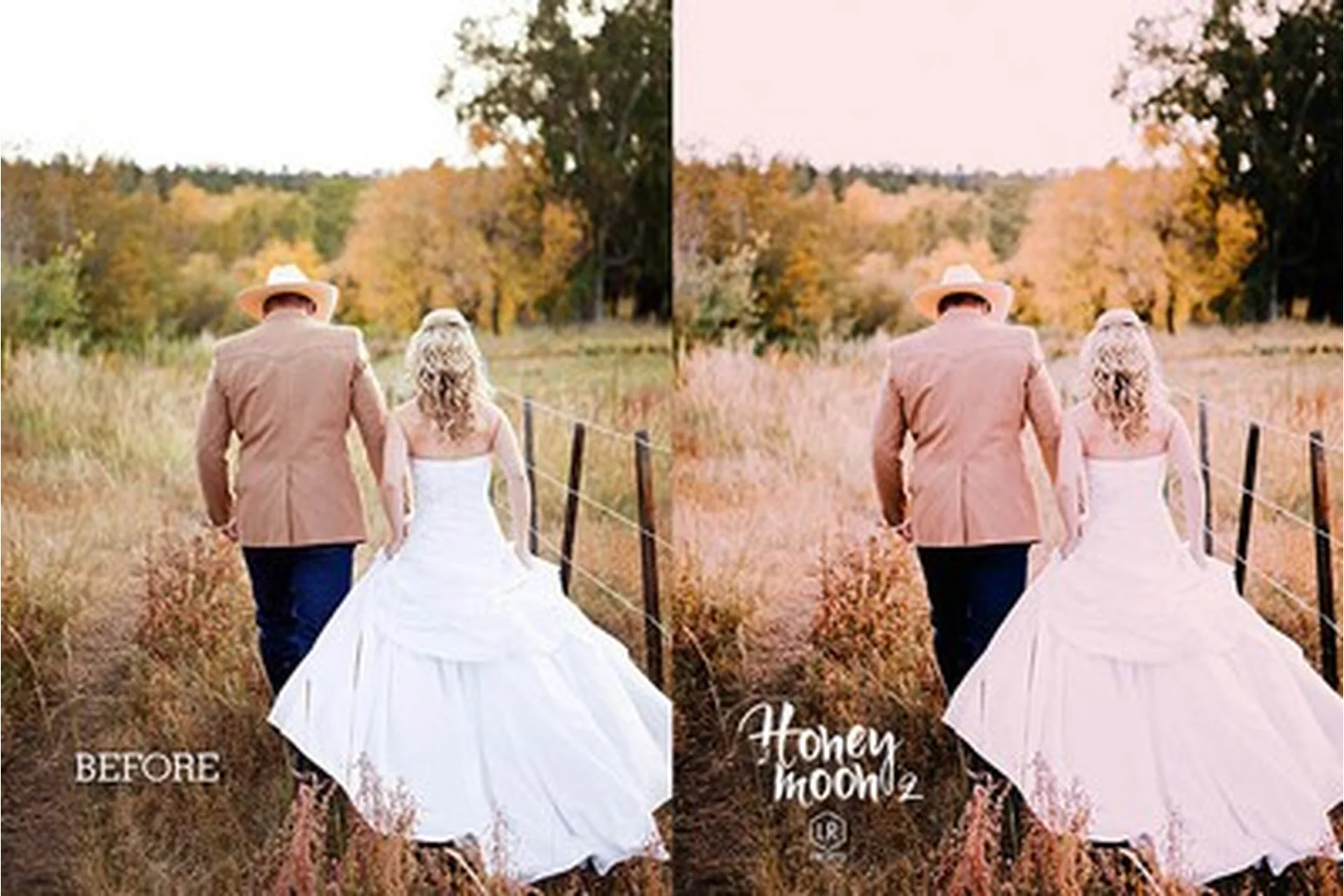 [Presetrain] Коллекция пресетов 22 пака для Lightroom, фото 1 из 1.