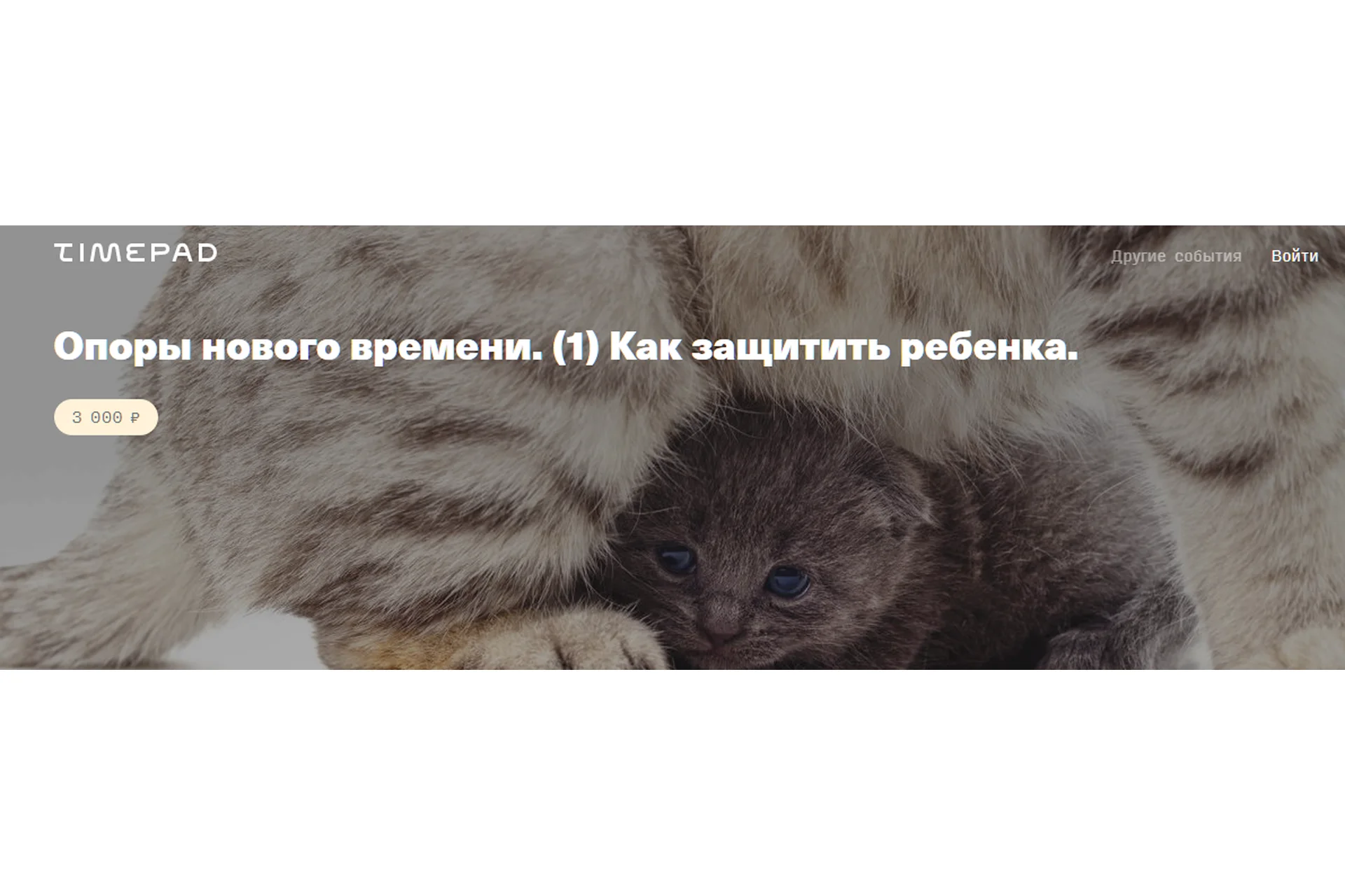 Опоры нового времени. 1 Как защитить ребенка  (Елена Веселаго), фото 1 из 1.
