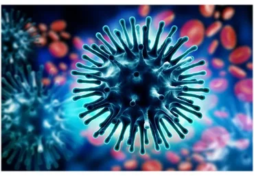 Курс Базовый (Татьяна Шершнева)