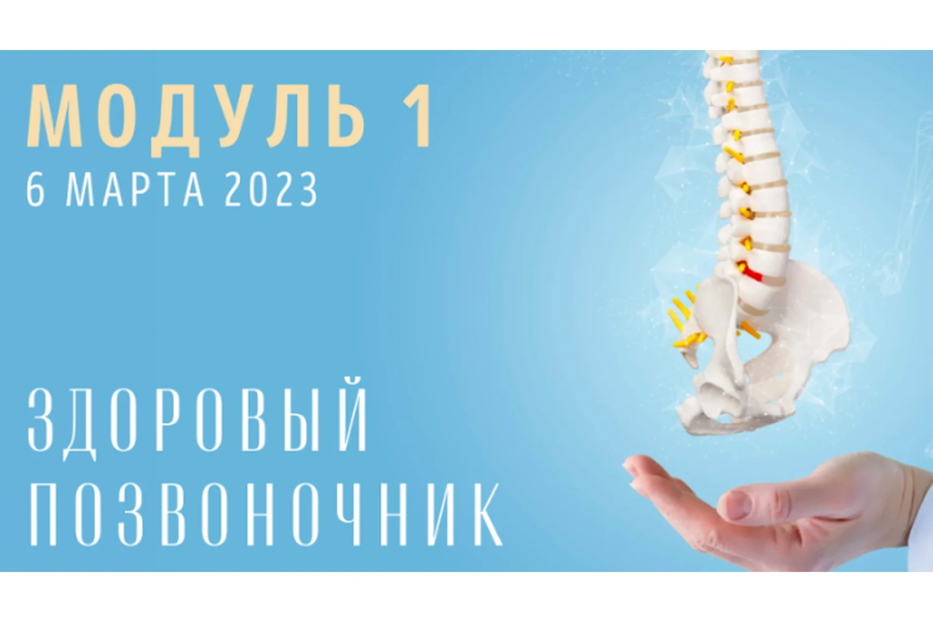 [Yulia.Stretch] Спина: Модуль 1 Здоровый позвоночник (Юлия Грошева), фото 1 из 1.