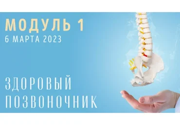 [Yulia.Stretch] Спина: Модуль 1 Здоровый позвоночник (Юлия Грошева)