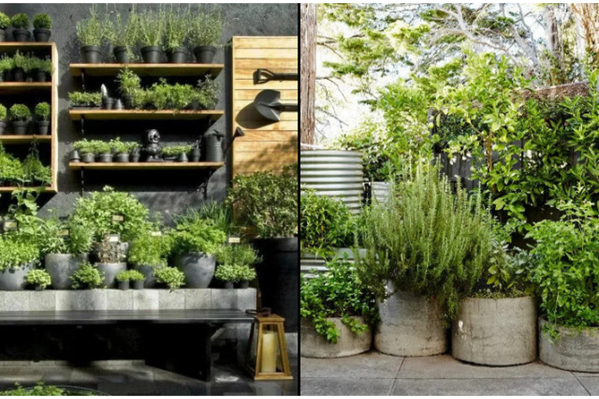 Пряно-ароматический сад «Путешествие в Прованс» (Ольга Сурнакина, Анна Шмарова), фото 1 из 1.