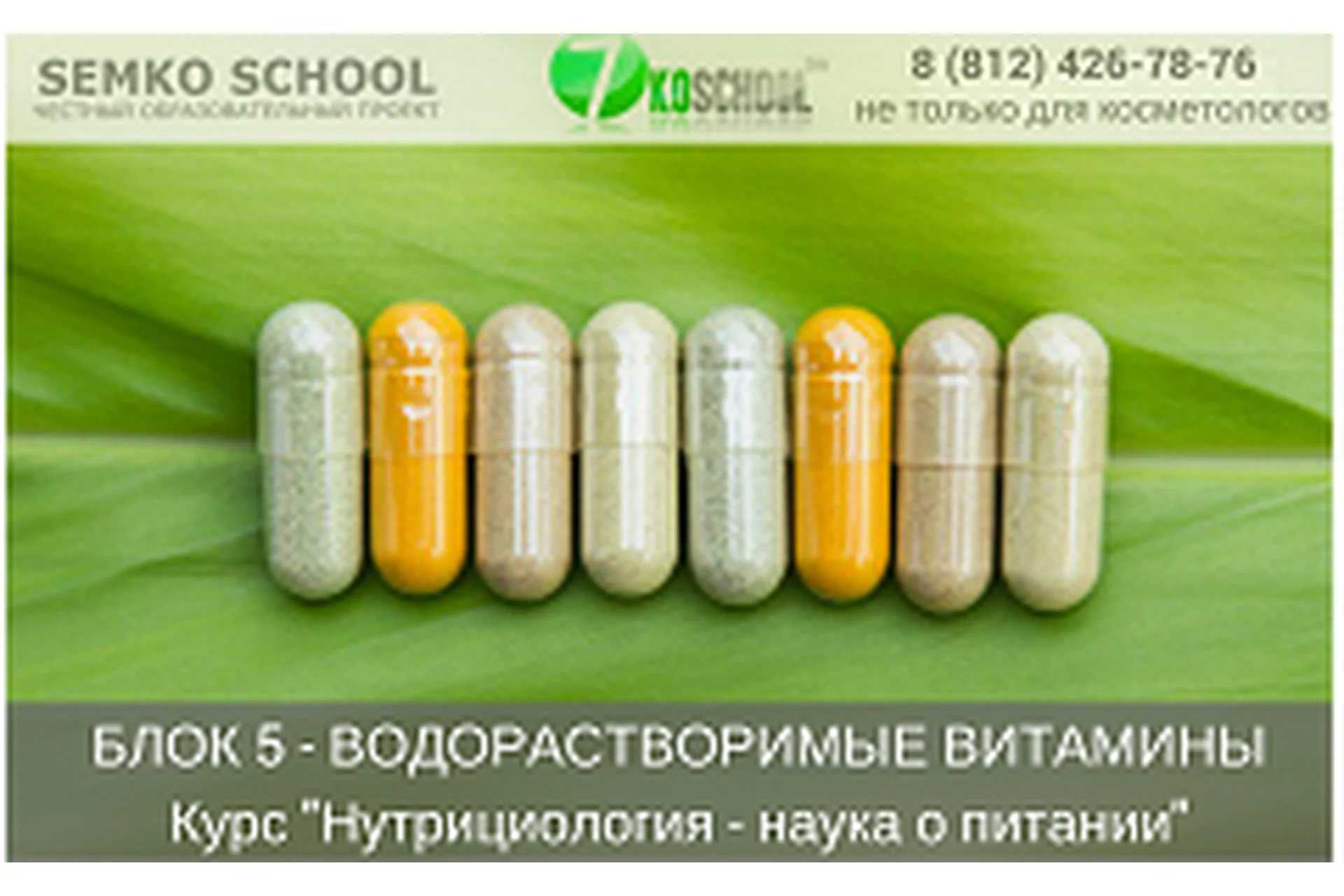 [7koschool] Нутрициология - наука о питании. Блок 5 "Водорастворимые витамины" (Анастасия Семко), фото 1 из 1.