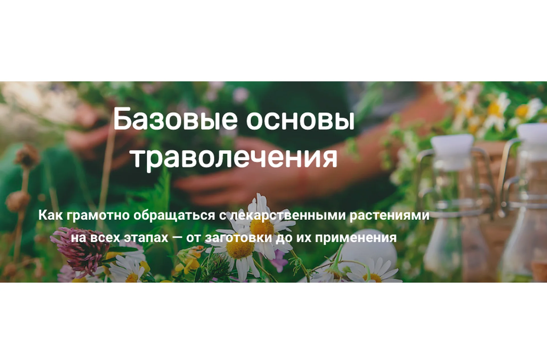 Базовые основы траволечения (Ольга Данилюк), фото 1 из 1.