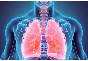 Выносливость и дыхание: нейроцентрический подход (Алихан Джиоев)