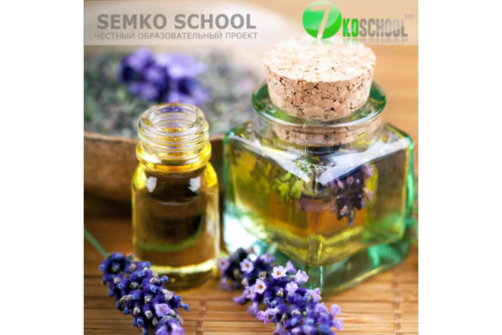 Эфирные масла. Домашняя аптечка (Анастасия Семко), фото 1 из 1.