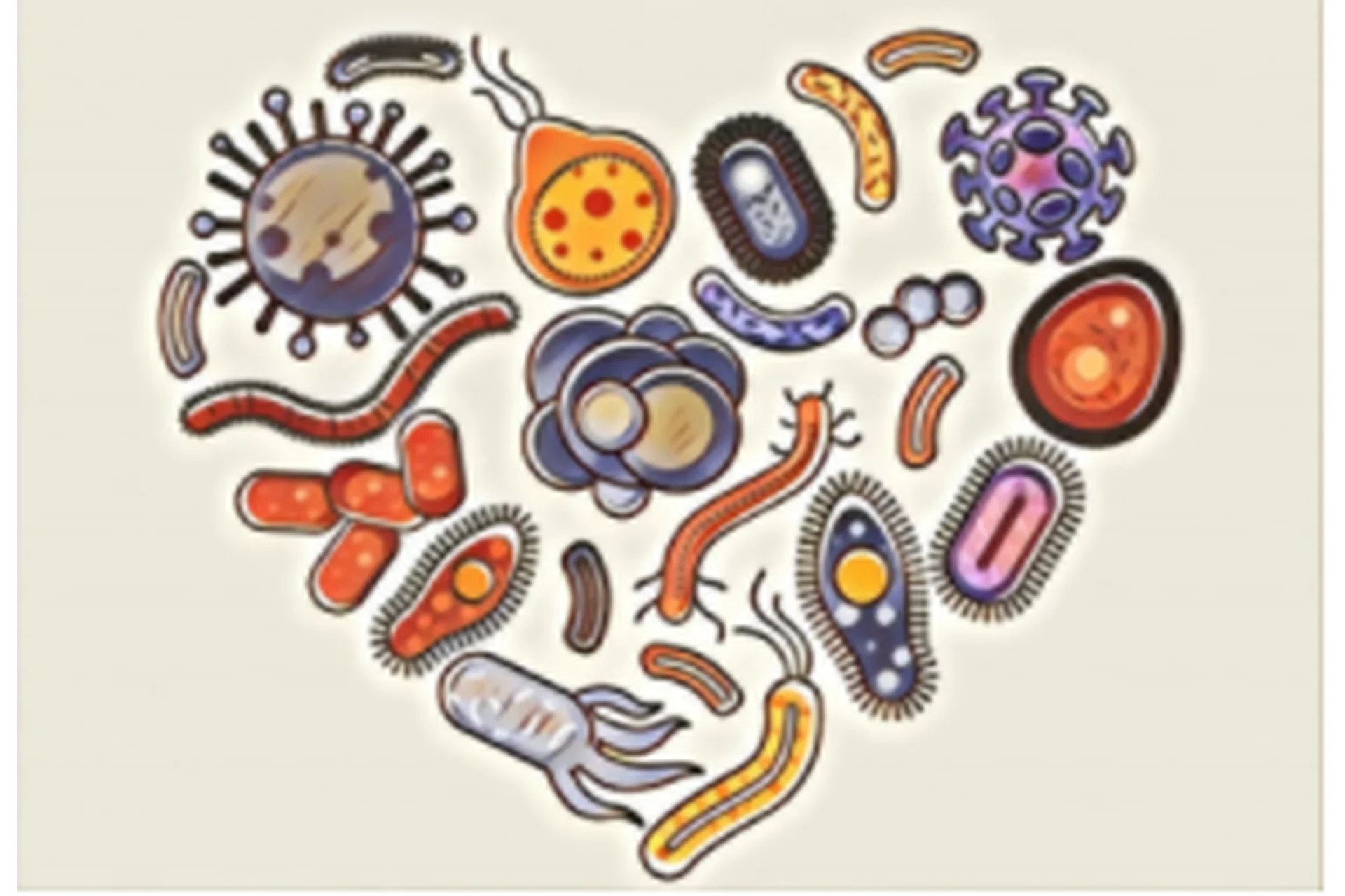 [Первая школа биохакинга] ГХМС по Осипову (Лариса Щербина), фото 1 из 1.