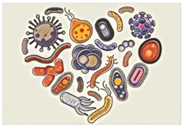 [Первая школа биохакинга] ГХМС по Осипову (Лариса Щербина)