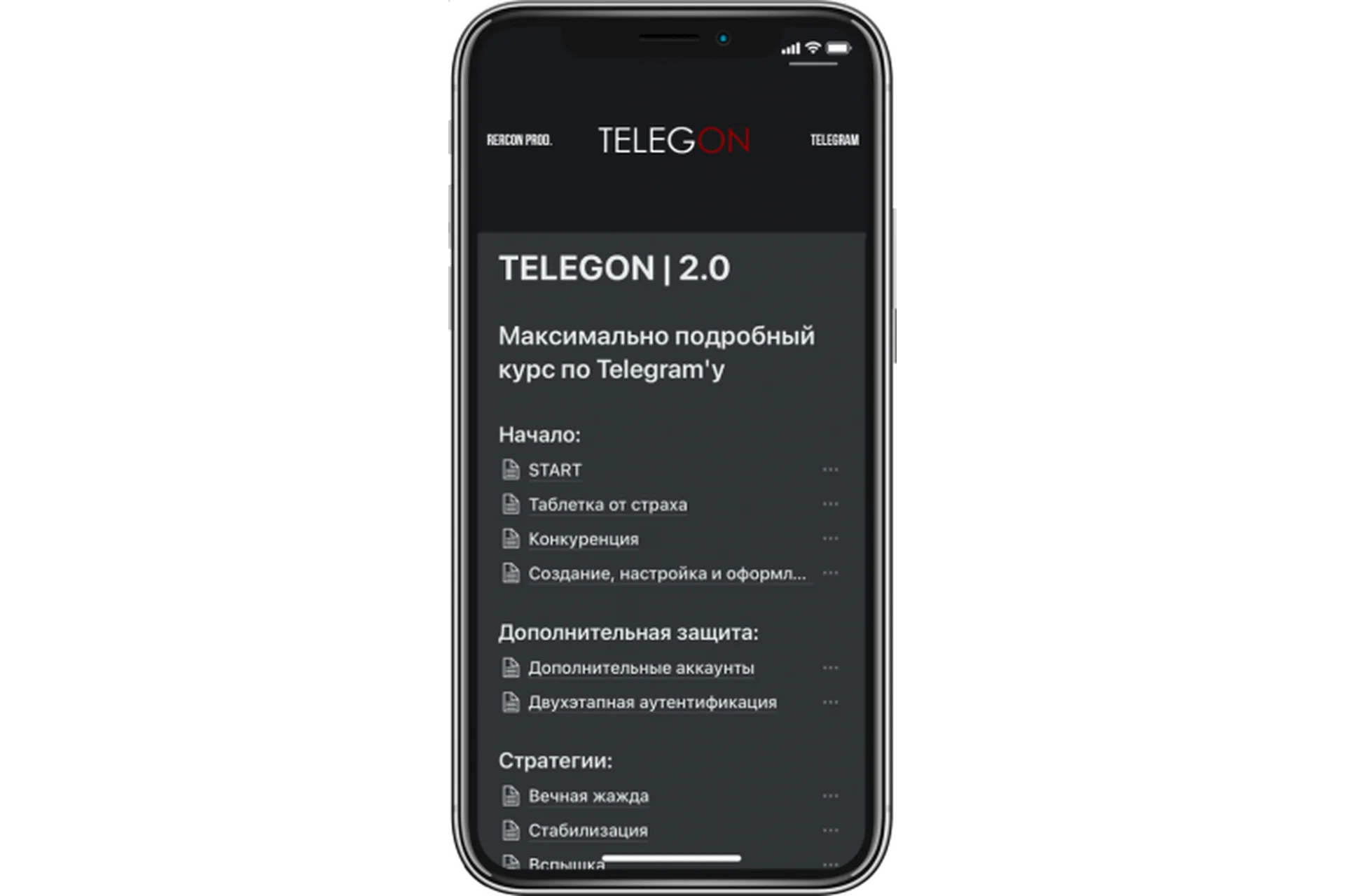 [rercon.net] Курс по Телеграму: Telegon maximus 2.0, фото 1 из 1.