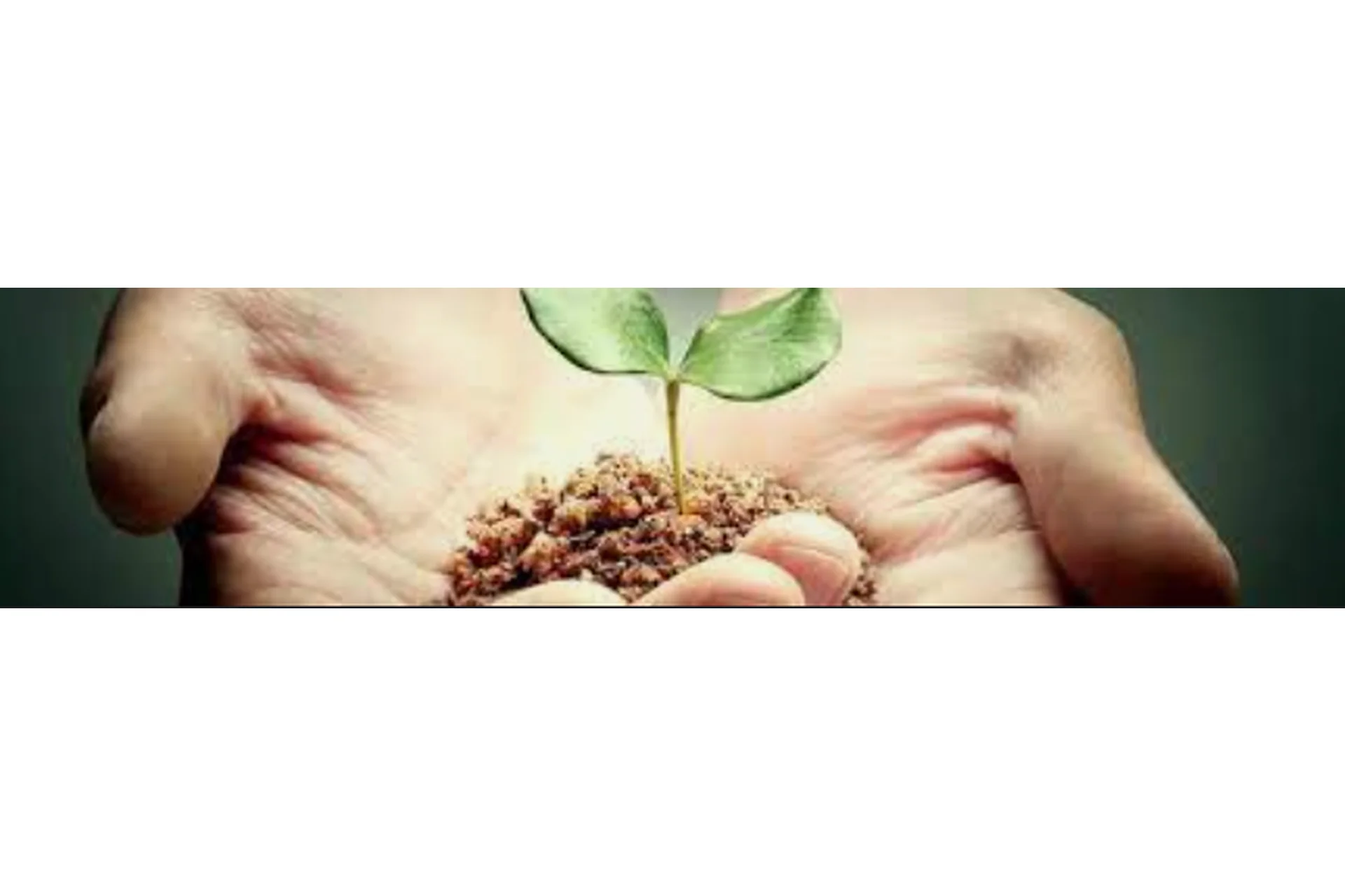 [Интераура] Нормализация работы систем организма, фото 1 из 1.