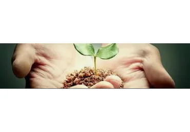 [Интераура] Нормализация работы систем организма