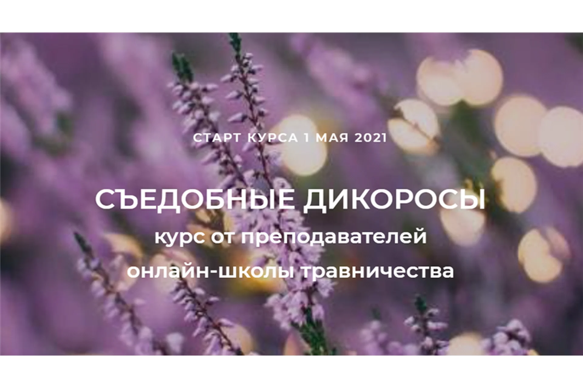 [FestTrav] Съедобные дикоросы (Наталья Замятина, Сергей Апполонов), фото 1 из 1.